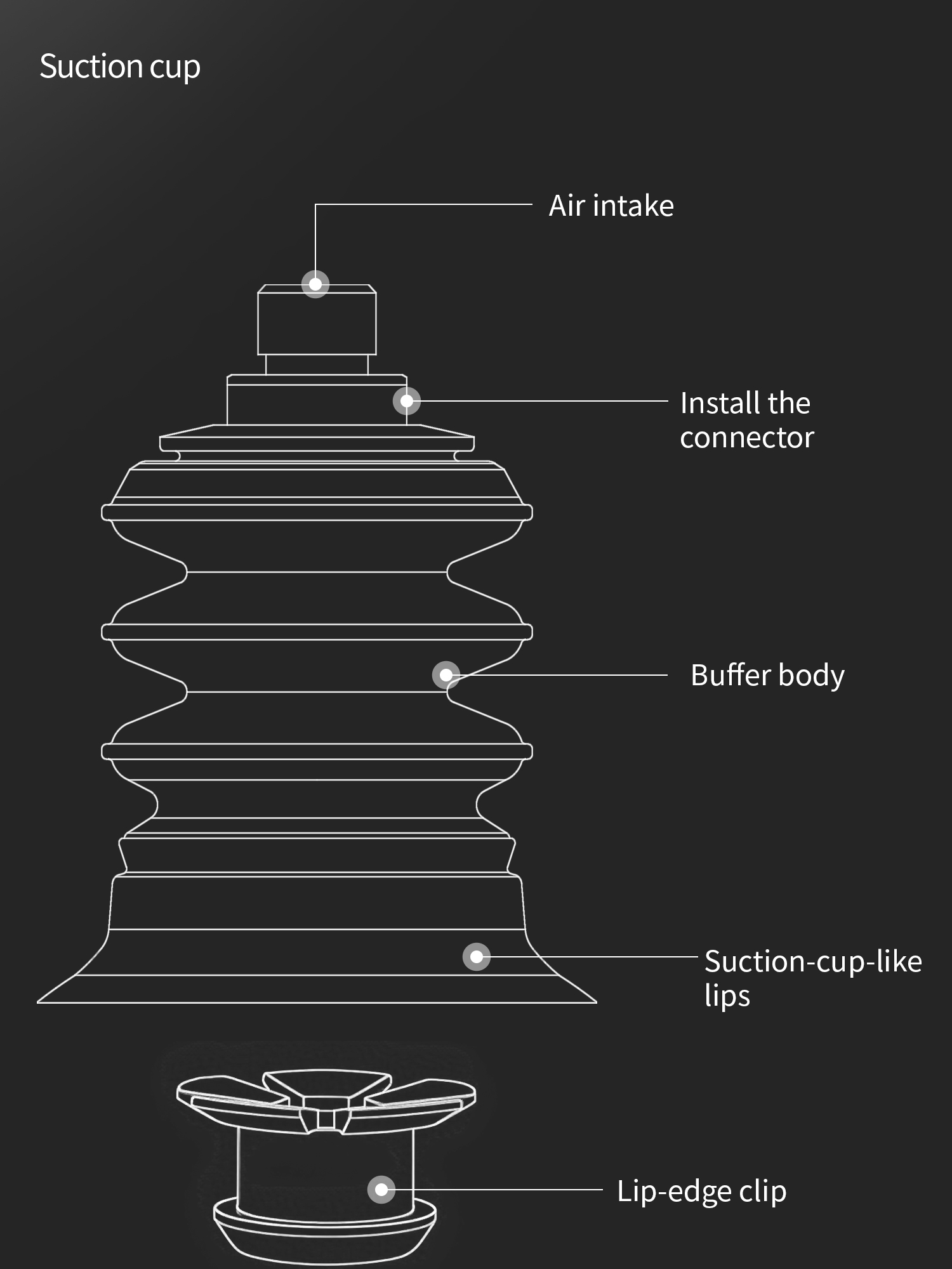 BGI Bellows Vacuum Suction Cup